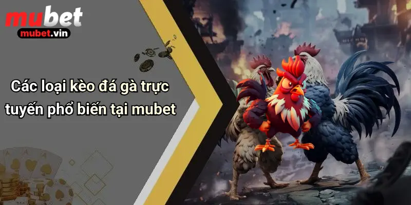 Các loại kèo đá gà trực tuyến phổ biến tại mubet