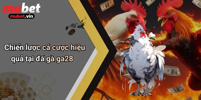 Chiến lược cá cược hiệu quả tại đá gà ga28