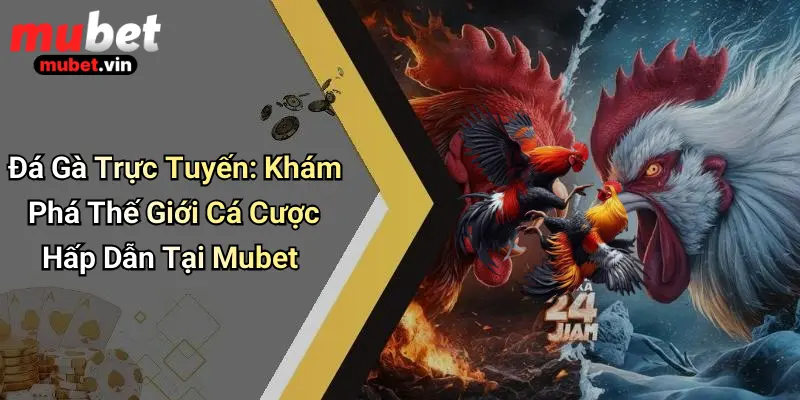 Đá Gà Trực Tuyến: Khám Phá Thế Giới Cá Cược Hấp Dẫn Tại Mubet