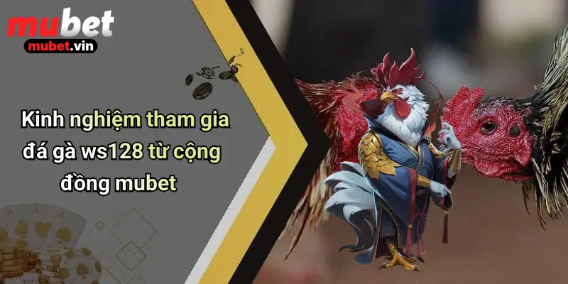 Kinh nghiệm tham gia đá gà ws128 từ cộng đồng mubet