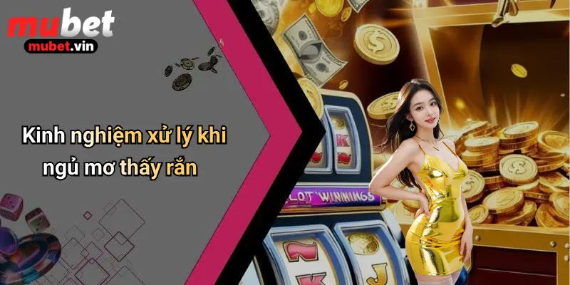 Kinh nghiệm xử lý khi ngủ mơ thấy rắn
