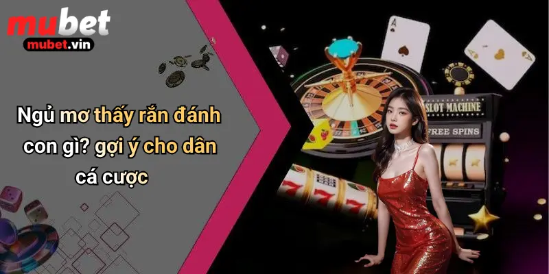 Ngủ mơ thấy rắn đánh con gì? gợi ý cho dân cá cược