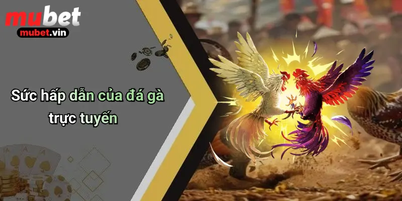 Sức hấp dẫn của đá gà trực tuyến